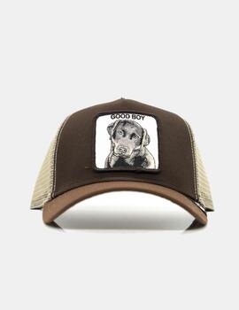 Gorra Goorin Bros Good Boy marron junior